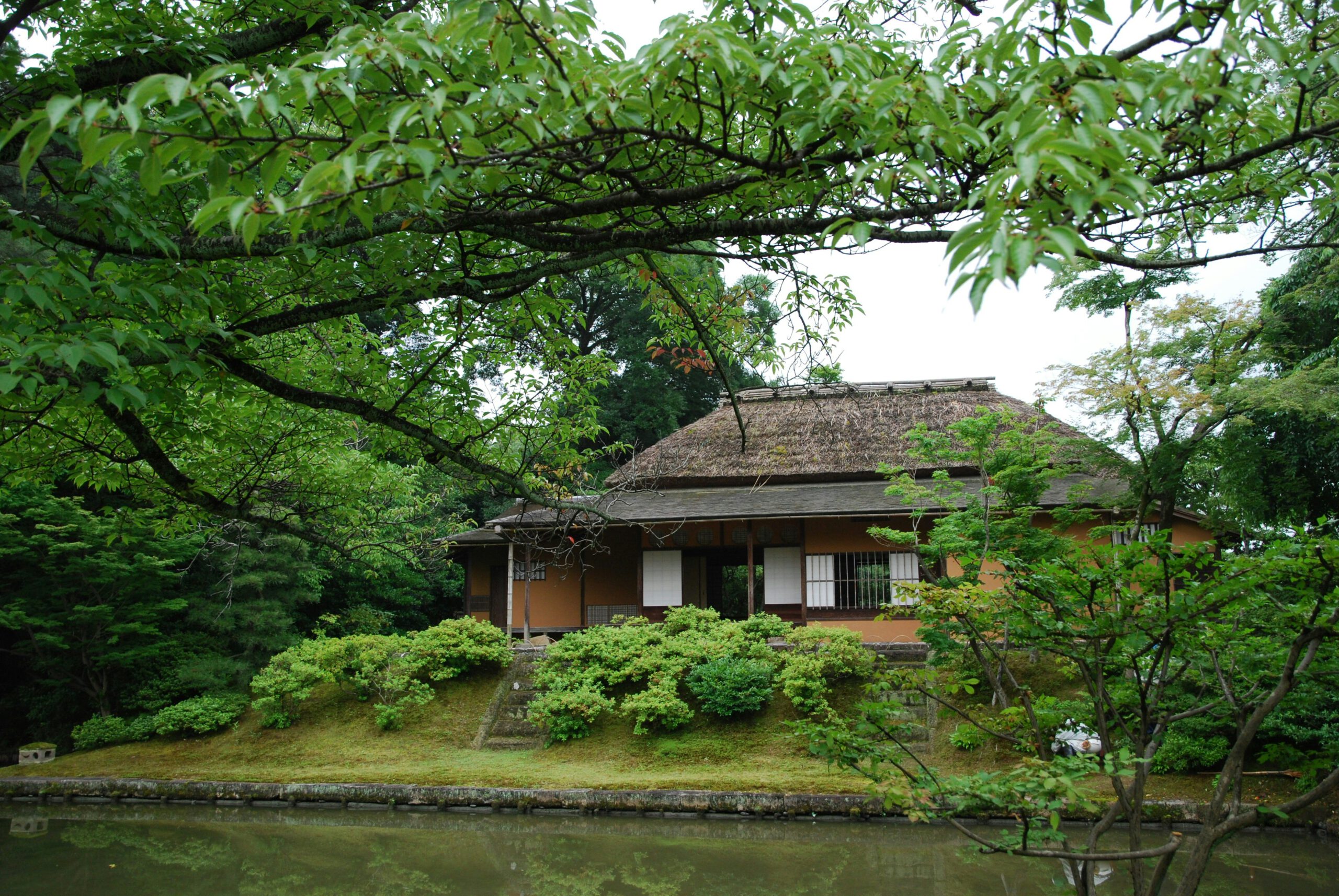 代表取締役 吉岡 政文